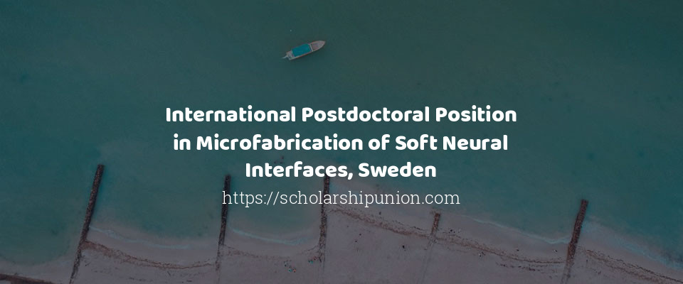 Feature image for International Postdoctoral Position in Microfabrication of Soft Neural Interfaces, Sweden