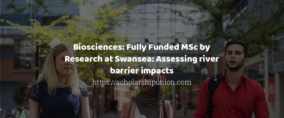 Feature image for Biosciences: Fully Funded MSc by Research at Swansea: Assessing river barrier impacts