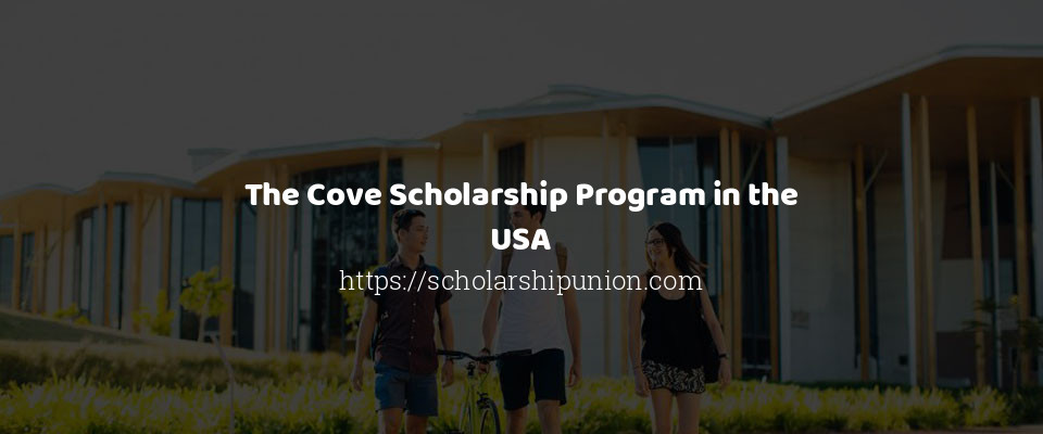 Feature image for The Cove Scholarship Program in the USA