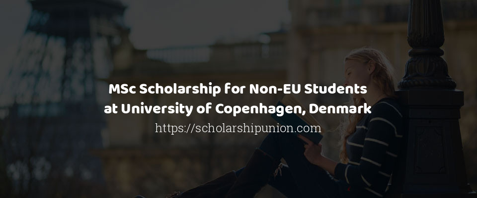 Feature image for MSc Scholarship for Non-EU Students at University of Copenhagen, Denmark