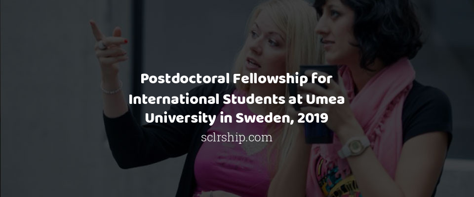 Feature image for Postdoctoral Fellowship for International Students at Umea University in Sweden, 2019