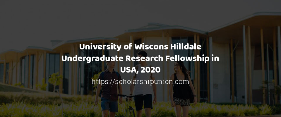 Feature image for University of Wiscons Hilldale Undergraduate Research Fellowship in USA, 2020