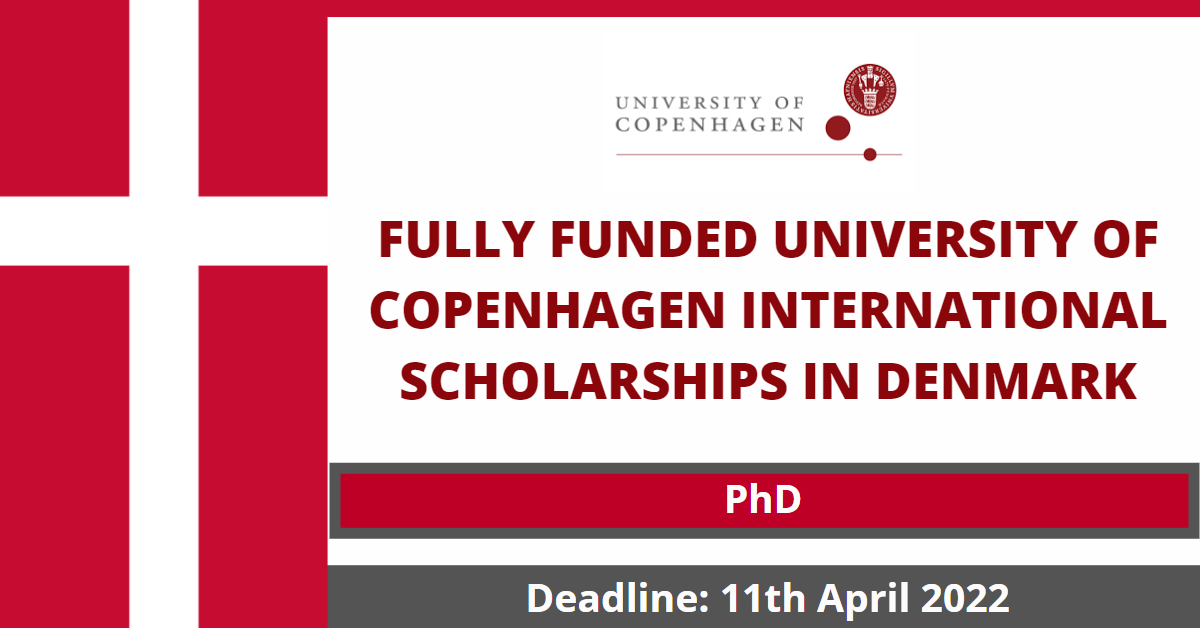 Feature image for Fully Funded University of Copenhagen International Scholarships in Denmark