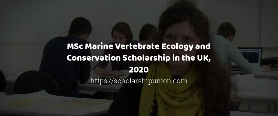 Feature image for MSc Marine Vertebrate Ecology and Conservation Scholarship in the UK, 2020