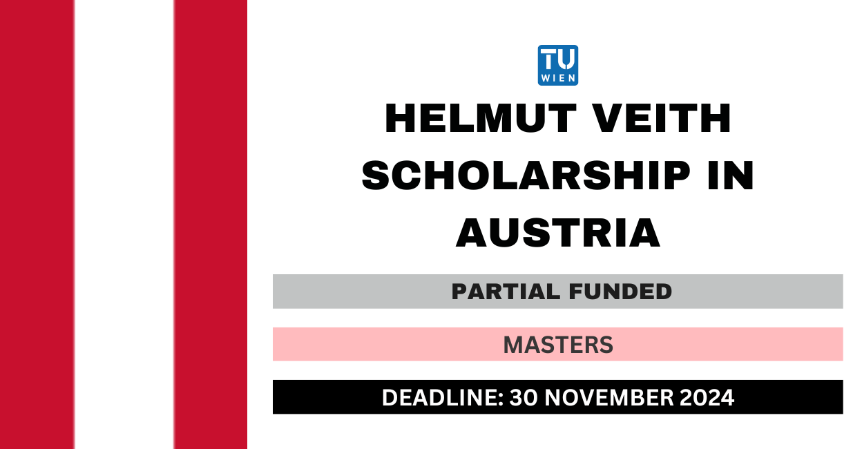 Feature image for Helmut Veith Scholarship in Austria 2024-25