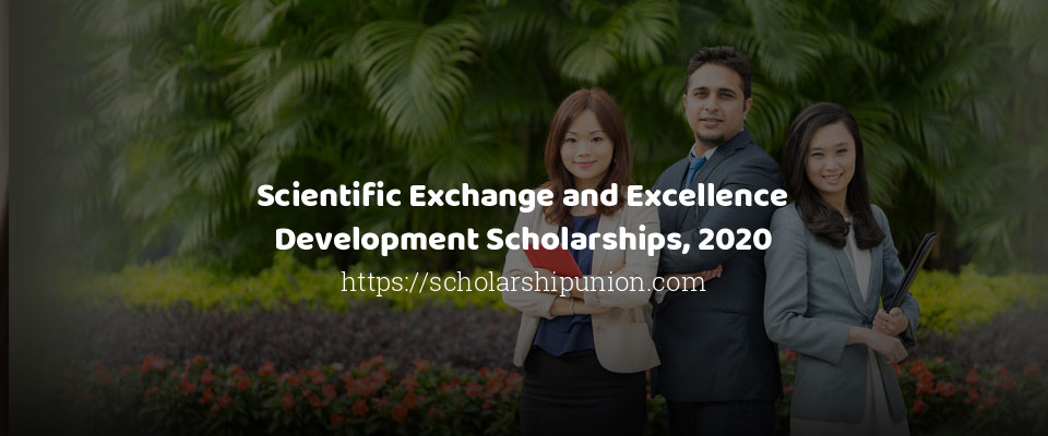 Feature image for Scientific Exchange and Excellence Development Scholarships, 2020