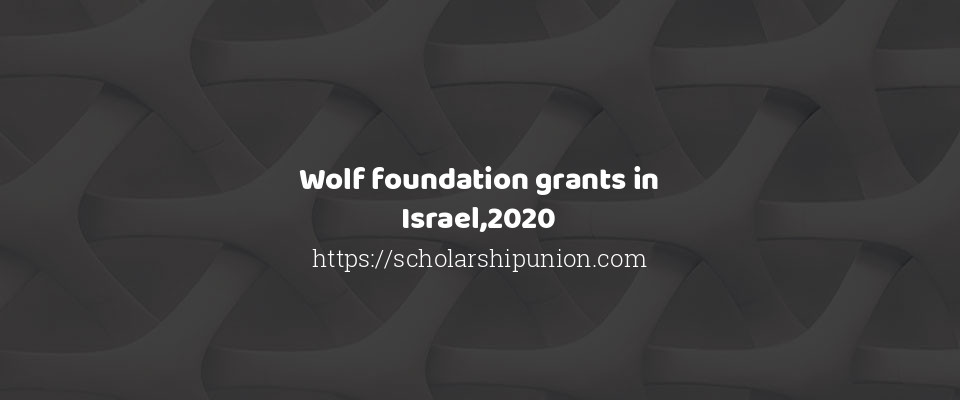 Feature image for Wolf foundation grants in Israel,2020