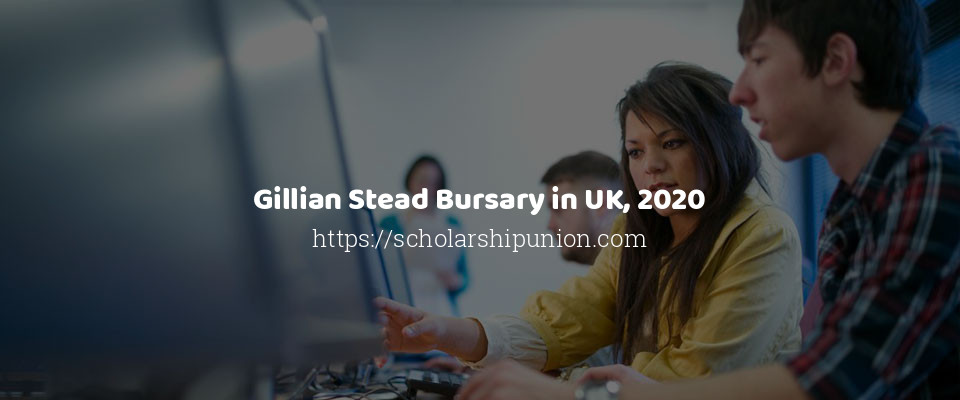 Feature image for Gillian Stead Bursary in UK, 2020