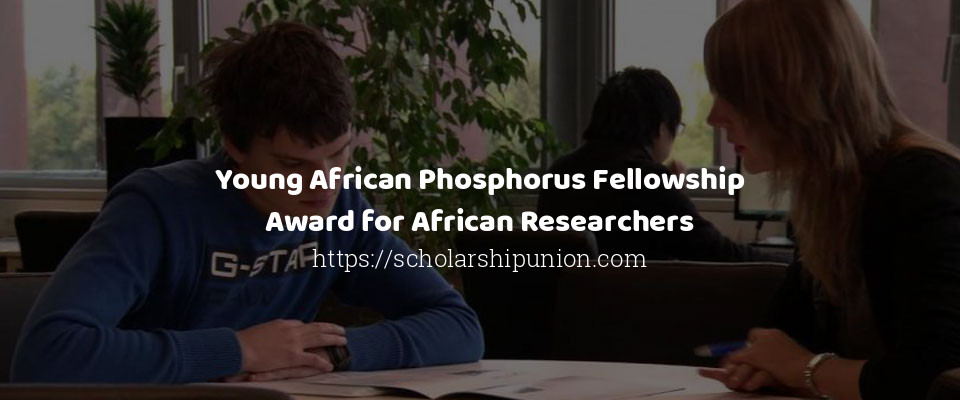 Feature image for Young African Phosphorus Fellowship Award for African Researchers
