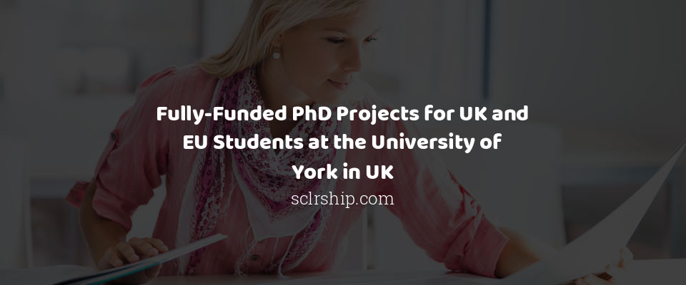 Feature image for Fully-Funded PhD Projects for UK and EU Students at the University of York in UK