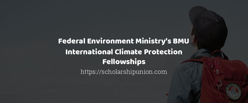 Feature image for Federal Environment Ministry’s BMU International Climate Protection Fellowships