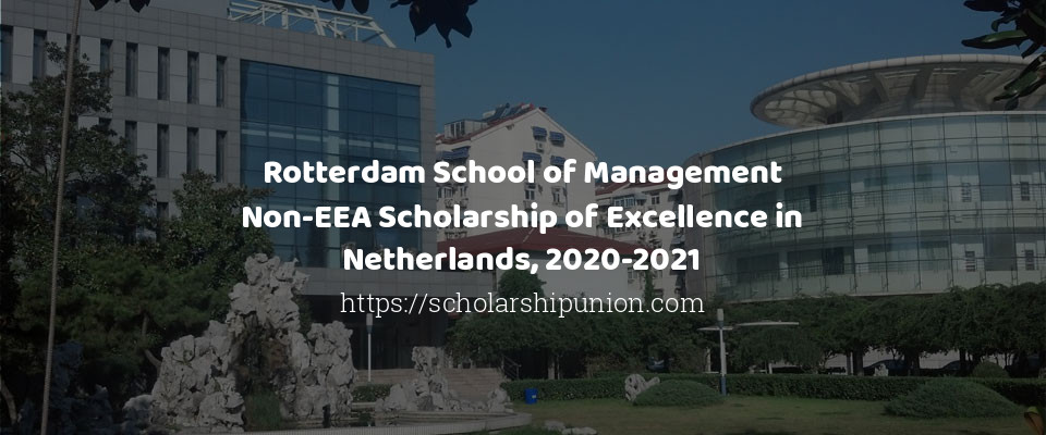 Feature image for Rotterdam School of Management Non-EEA Scholarship of Excellence in Netherlands, 2020-2021