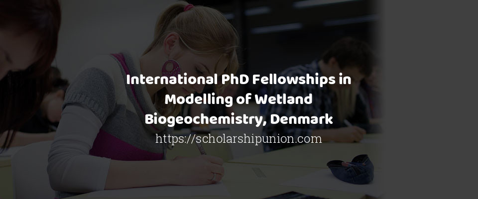Feature image for International PhD Fellowships in Modelling of Wetland Biogeochemistry, Denmark