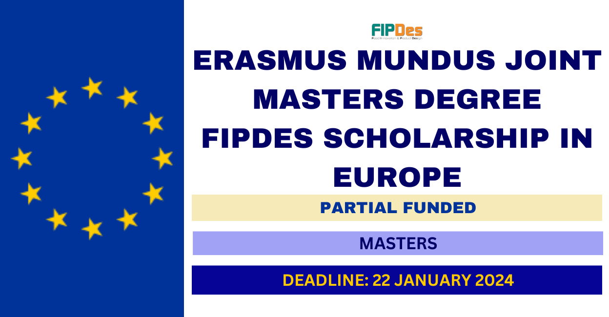 Feature image for Erasmus Mundus Joint Masters Degree FIPDes Scholarship in Europe 2024