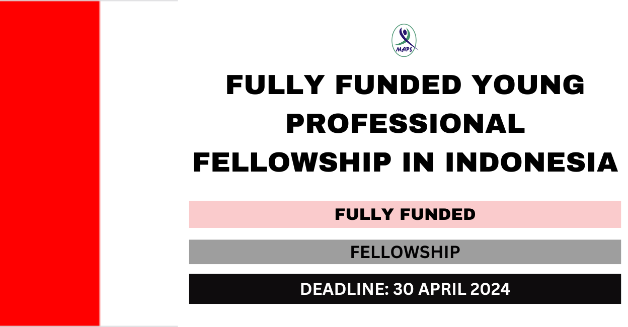 Feature image for Fully Funded Young Professional Fellowship in Indonesia 2024