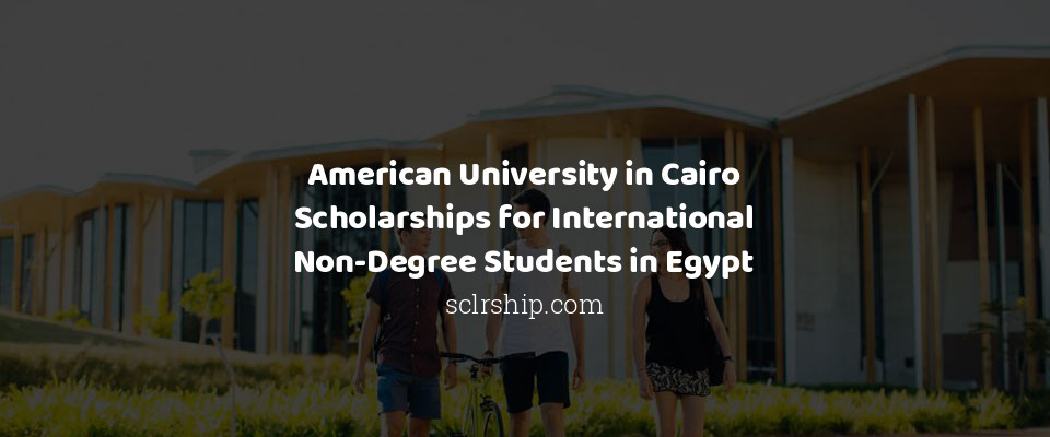 Feature image for American University in Cairo Scholarships for International Non-Degree Students in Egypt