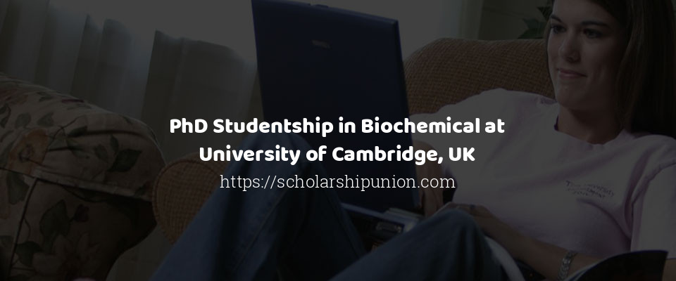 Feature image for PhD Studentship in Biochemical at University of Cambridge, UK