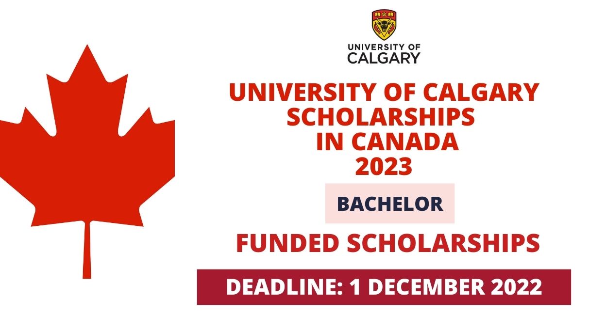 Feature image for Funded Scholarship at University of Calgary in Canada 2023