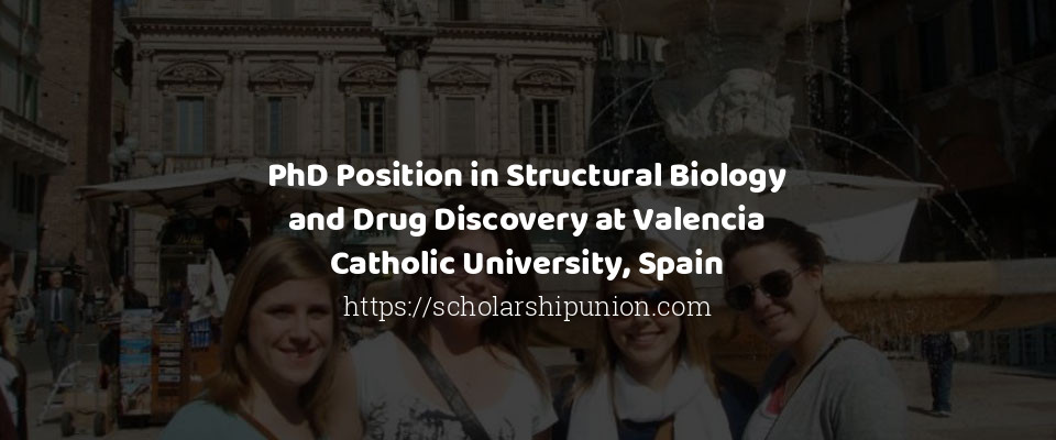 Feature image for PhD Position in Structural Biology and Drug Discovery at Valencia Catholic University, Spain