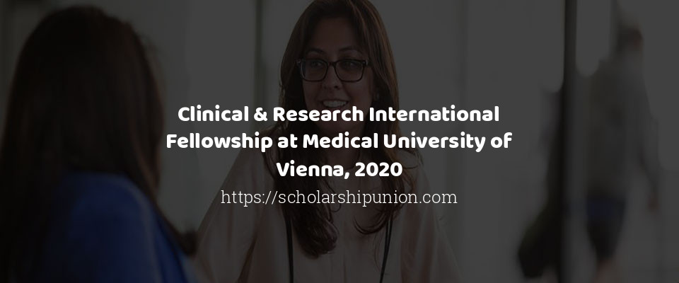 Feature image for Clinical & Research International Fellowship at Medical University of Vienna, 2020