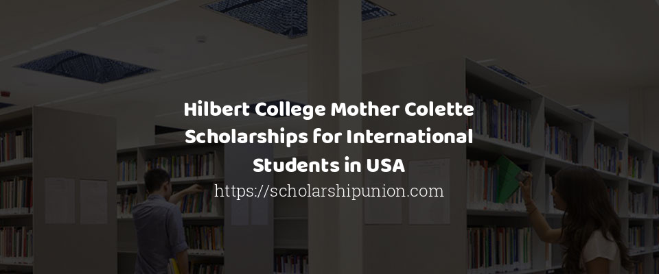 Feature image for Hilbert College Mother Colette Scholarships for International Students in USA