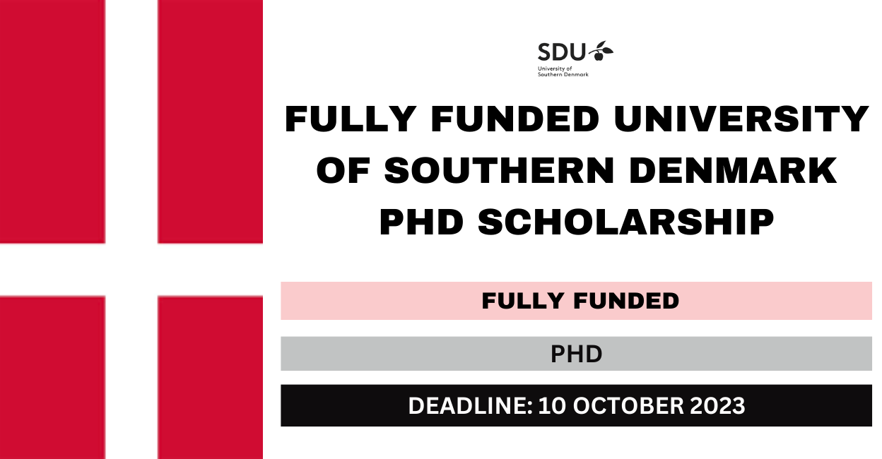 Feature image for Fully Funded University of Southern Denmark Ph.D. Scholarship 2024