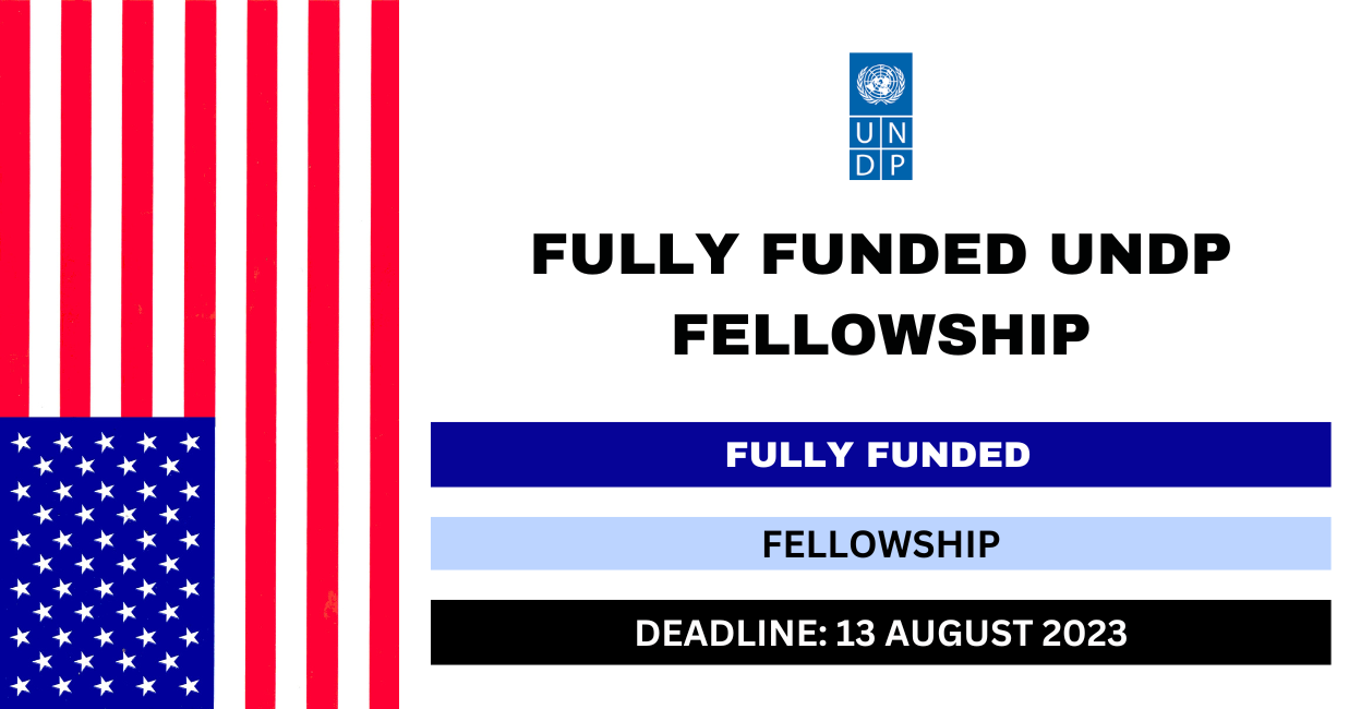 Feature image for Fully Funded UNDP Fellowship 2023