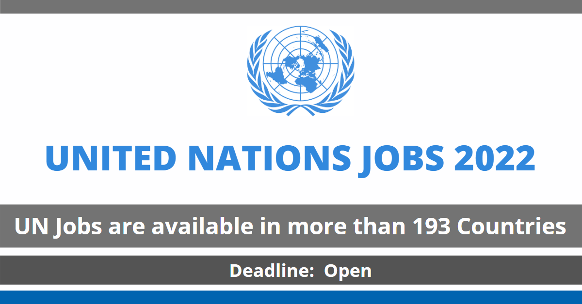 Feature image for United Nations Jobs 2022