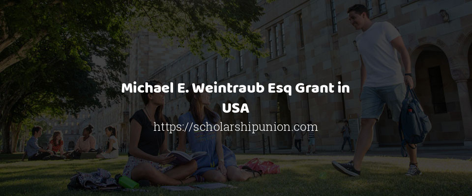 Feature image for Michael E. Weintraub Esq Grant in USA