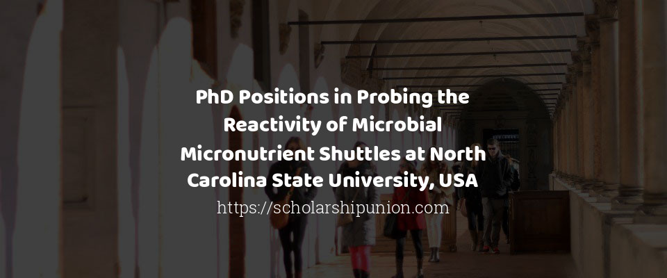 Feature image for PhD Positions in Probing the Reactivity of Microbial Micronutrient Shuttles at North Carolina State University, USA