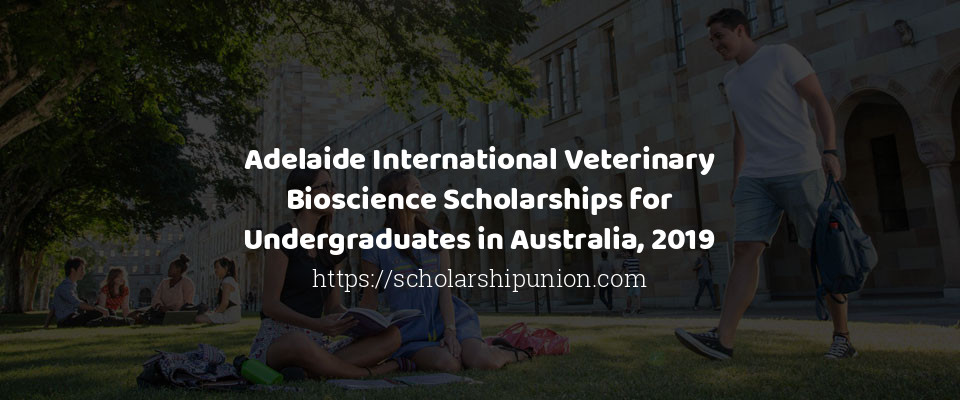 Feature image for Adelaide International Veterinary Bioscience Scholarships for Undergraduates in Australia, 2019