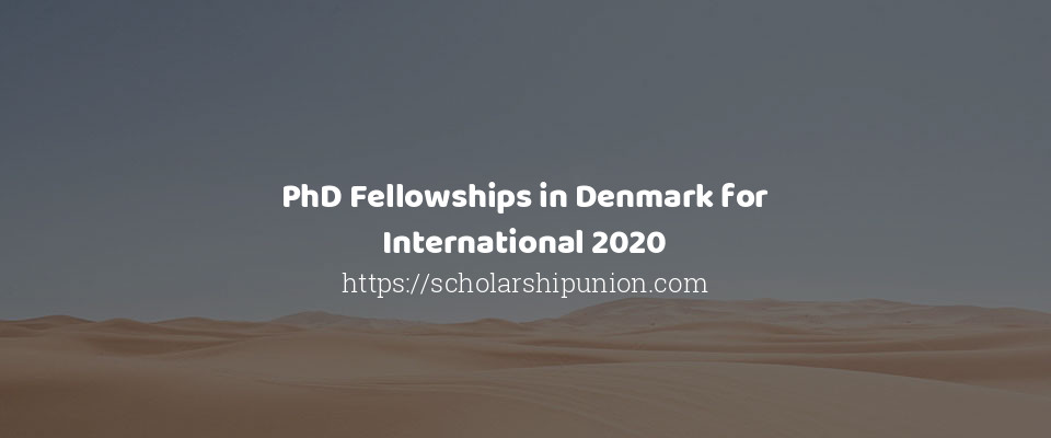 Feature image for PhD Fellowships in Denmark for International 2020