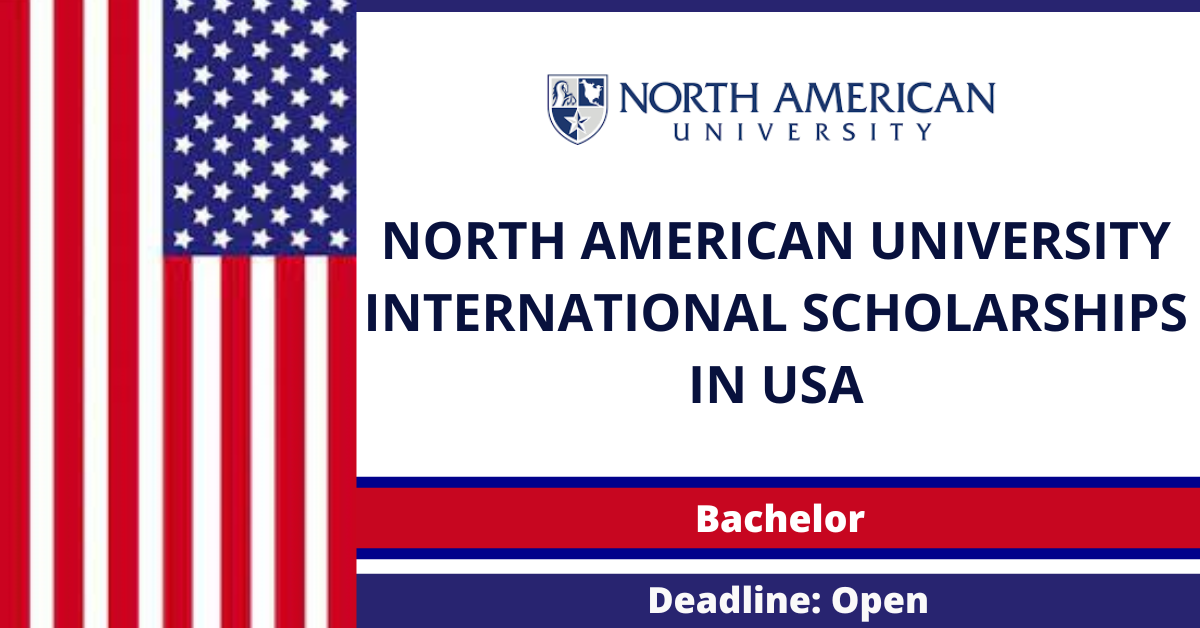 Feature image for North American University International Scholarships in USA
