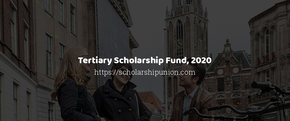 Feature image for Tertiary Scholarship Fund, 2020
