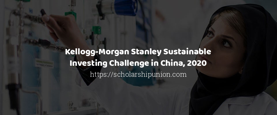 Feature image for Kellogg-Morgan Stanley Sustainable Investing Challenge in China, 2020