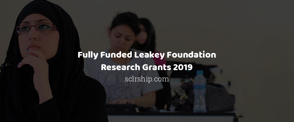 Feature image for Fully Funded Leakey Foundation Research Grants 2019