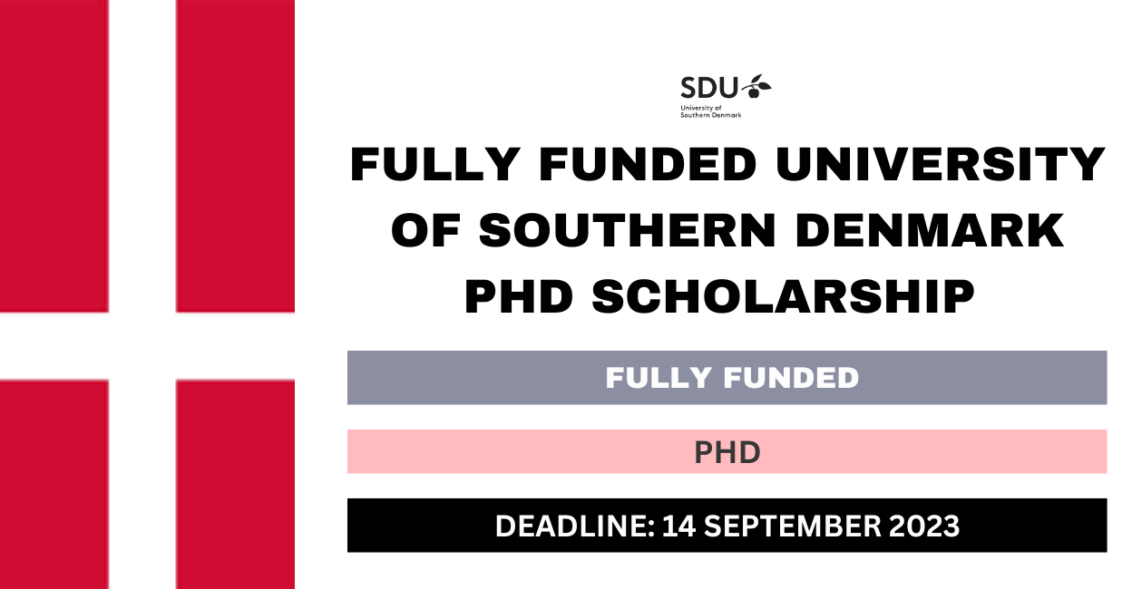 Feature image for Fully Funded University of Southern Denmark Ph.D. Scholarship 2024