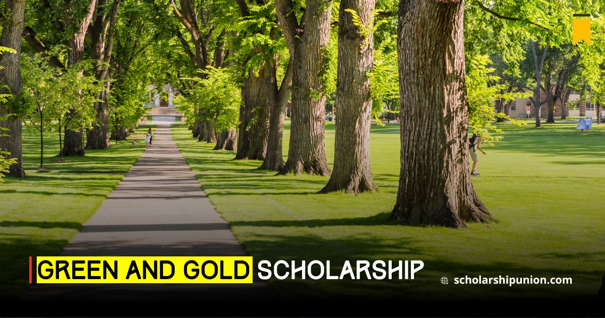 Benefits of the Green and Gold Scholarship at CSU 2025 in USA