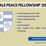 Yale Peace Fellowship 2026 in USA | Fully Funded