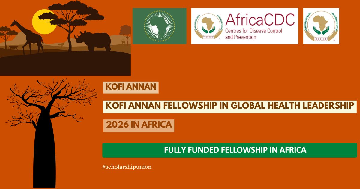 Kofi Annan Fellowship in Global Health Leadership 2026