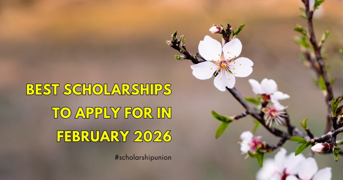 Best Scholarships to Apply for in February 2026 | Apply Now