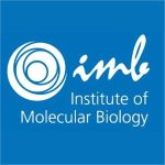 Institute of Molecular Biology (IMB)