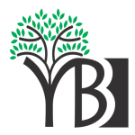 Middle East Youth Summit, Youth Break the Boundaries (YBB) Foundation